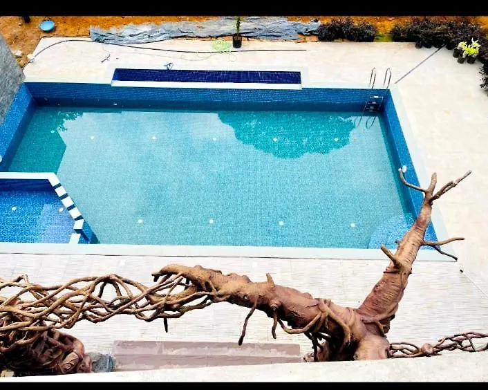 Skylark Holidays Chinnakkanal Chinnakanal Otel